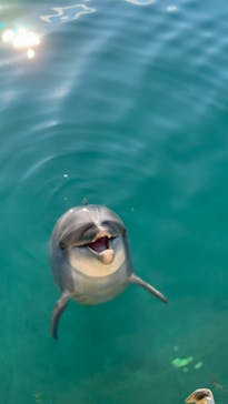 伊豆・三津シーパラダイスに投稿された画像（2022/10/29）