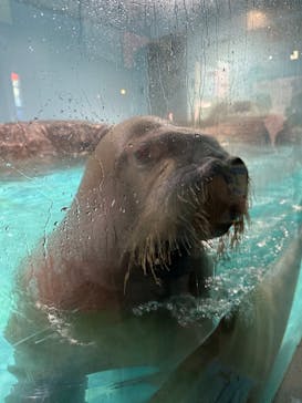 伊豆・三津シーパラダイスに投稿された画像（2022/10/29）