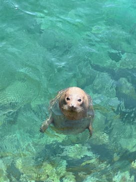 伊豆・三津シーパラダイスに投稿された画像（2022/10/29）