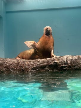 伊豆・三津シーパラダイスに投稿された画像（2022/10/29）