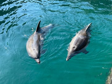 伊豆・三津シーパラダイスに投稿された画像（2022/10/29）