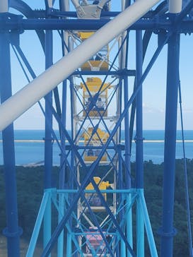 国営ひたち海浜公園プレジャーガーデンに投稿された画像（2022/10/29）