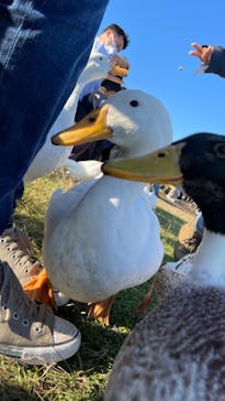 マザー牧場に投稿された画像（2022/10/29）