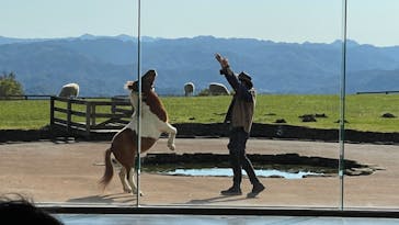 マザー牧場に投稿された画像（2022/10/29）