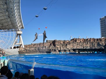 名古屋港水族館に投稿された画像（2022/10/29）
