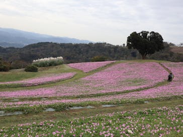 マザー牧場に投稿された画像（2022/10/29）