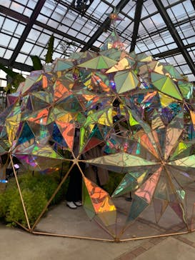 京成バラ園に投稿された画像（2022/10/29）