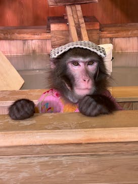 おさるの湯もみ処　おさ湯に投稿された画像（2022/10/29）