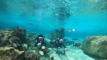 武藤潜水に投稿された画像（2022/10/29）