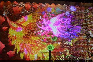 NAKED FLOWERS 2022 秋 世界遺産・二条城に投稿された画像（2022/10/29）