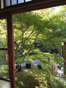 東福寺塔頭 勝林寺に投稿された画像（2022/10/29）