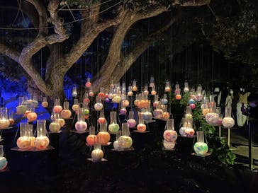 江の島シーキャンドルに投稿された画像（2022/10/29）