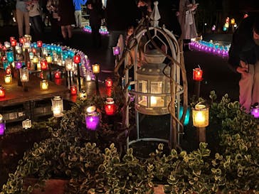 江の島シーキャンドルに投稿された画像（2022/10/29）