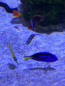 すみだ水族館に投稿された画像（2022/10/29）