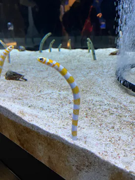 すみだ水族館に投稿された画像（2022/10/29）