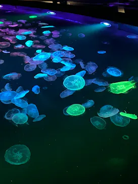 すみだ水族館に投稿された画像（2022/10/29）