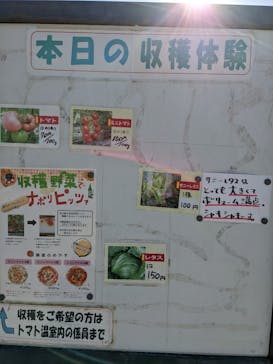 淡路ファームパーク イングランドの丘に投稿された画像（2022/10/29）