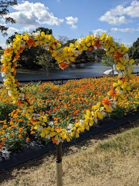 淡路ファームパーク イングランドの丘に投稿された画像（2022/10/29）