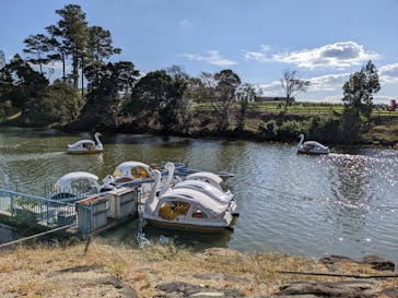 淡路ファームパーク イングランドの丘に投稿された画像（2022/10/29）
