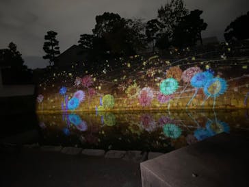 NAKED FLOWERS 2022 秋 世界遺産・二条城に投稿された画像（2022/10/29）