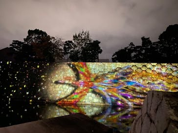 NAKED FLOWERS 2022 秋 世界遺産・二条城に投稿された画像（2022/10/29）