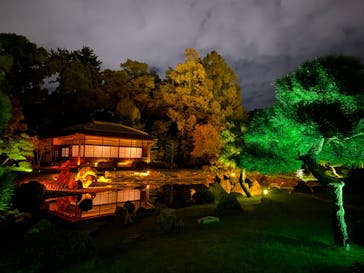 NAKED FLOWERS 2022 秋 世界遺産・二条城に投稿された画像（2022/10/29）