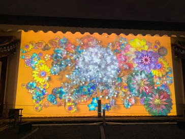 NAKED FLOWERS 2022 秋 世界遺産・二条城に投稿された画像（2022/10/29）