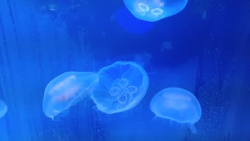 株式会社Gに投稿された画像（2022/10/29）