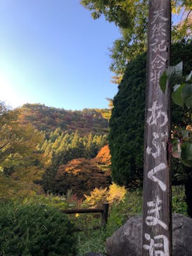 あぶくま洞に投稿された画像（2022/10/29）