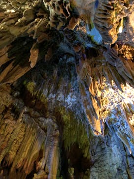 あぶくま洞に投稿された画像（2022/10/29）