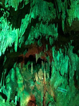 あぶくま洞に投稿された画像（2022/10/29）