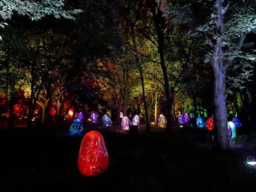 チームラボ ボタニカルガーデン 大阪に投稿された画像（2022/10/29）