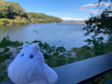 ムーミンバレーパークに投稿された画像（2022/10/29）