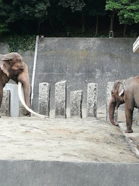 横浜市立金沢動物園に投稿された画像（2022/10/29）