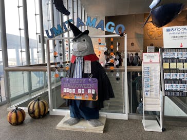 大分マリーンパレス水族館 「うみたまご」に投稿された画像（2022/10/29）