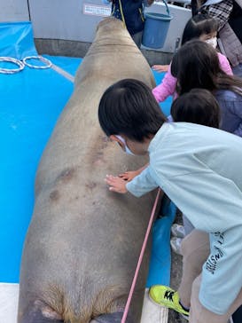 大分マリーンパレス水族館 「うみたまご」に投稿された画像（2022/10/29）