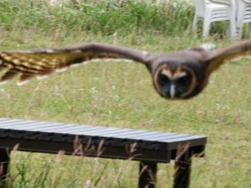 ネオパークオキナワに投稿された画像（2022/10/29）