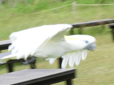 ネオパークオキナワに投稿された画像（2022/10/29）