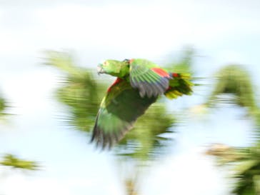 ネオパークオキナワに投稿された画像（2022/10/29）