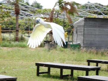 ネオパークオキナワに投稿された画像（2022/10/29）