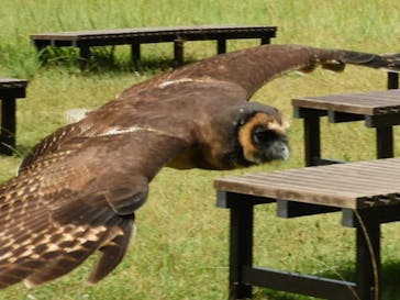 ネオパークオキナワに投稿された画像（2022/10/29）