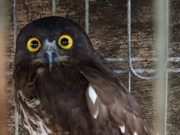 OKINAWAフルーツらんどに投稿された画像（2022/10/29）