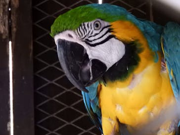 OKINAWAフルーツらんどに投稿された画像（2022/10/29）