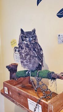 ワールド牧場に投稿された画像（2022/10/29）