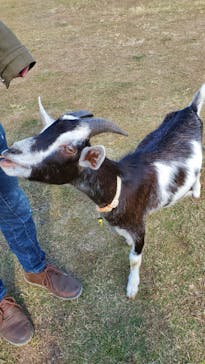 ワールド牧場に投稿された画像（2022/10/29）