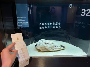 横浜開運水族館 フォーチュンアクアリウムに投稿された画像（2022/10/29）