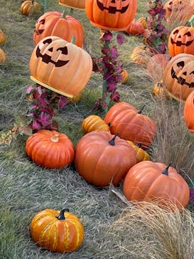 NESTA RESORT KOBE（ネスタリゾート神戸）に投稿された画像（2022/10/29）