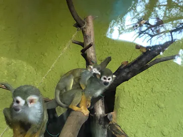 ひらかたパークに投稿された画像（2022/10/29）