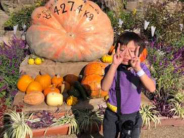 ひらかたパークに投稿された画像（2022/10/29）