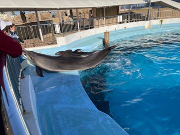 マリンワールド海の中道に投稿された画像（2022/10/29）